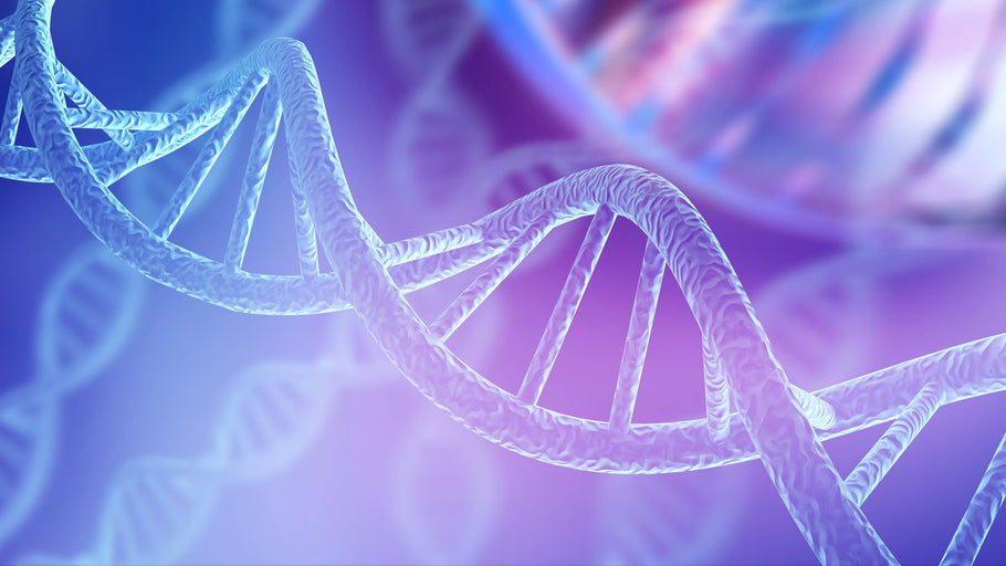How Nutrition Plays a Role In Epigenetics; The Science of Nutrigenetics